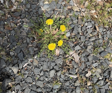 あなたの｢過去｣を掘り下げて振り返ります 過去にあった辛いことなど、ここで吐き出して綺麗にしましょう。 イメージ1