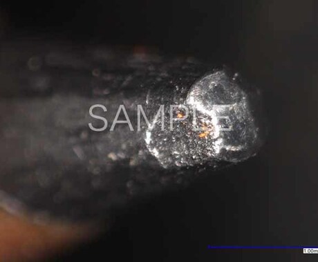 拡大鏡での撮影画像の販売します イメージ1
