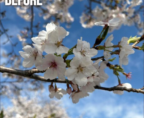 インスタ映えする写真へ24時間以内に変身させます 24時間以内にインスタ映え加工！ イメージ2