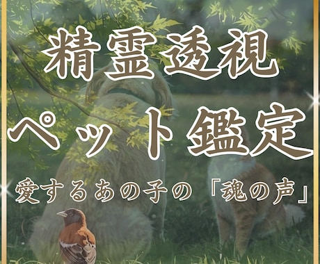 精霊透視✴︎ペットの本当の気持ち魂の声を翻訳します あの子は今幸せ？精霊が明かすペットの深い愛とあなたへの想い イメージ1