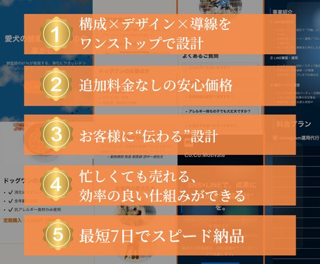 2.8万円/先着3名限定で高品質HP制作します 1名限定】特別価格！！初回28,000円 イメージ2