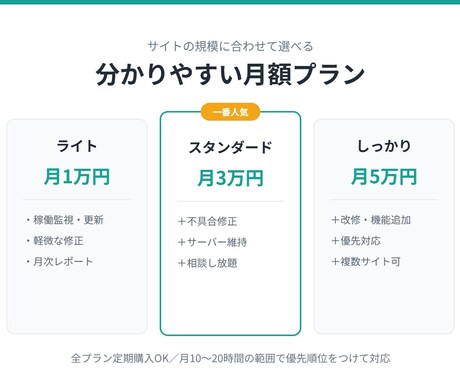 サイトもサーバーもまとめて月額保守します 制作会社の代わりに、サイトの保守・更新を引き受けます イメージ2