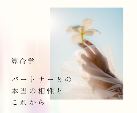夫婦の本当の相性とこれからを占います 冷えた夫婦関係、別れるべきか続けるか。生年月日で読み解きます イメージ1