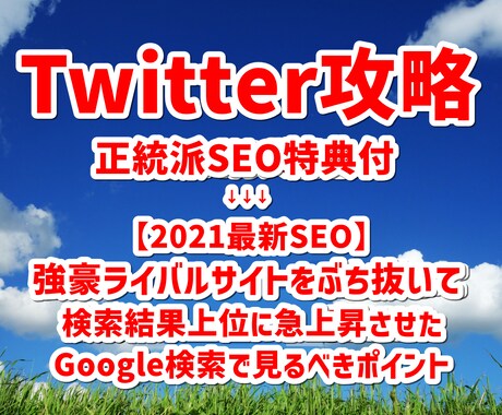 ツイッター攻略＆2021最新正統派SEO特典ざます ブロガー必読！Googleに正解を強制表示させる盲点SEO術 イメージ1