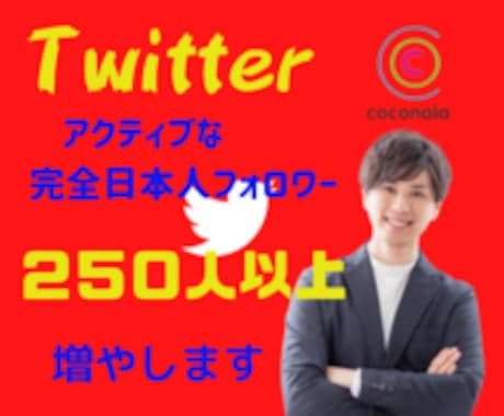 Twitterフォロワー250名以上増やします 日本人のアクティブユーザーのみ！フォロワー獲得の手引き付き イメージ1