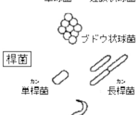 食品会社の微生物、防虫、HACCP等の相談のります 縁もあって、食品会社のコンサルタントの経験あります イメージ1