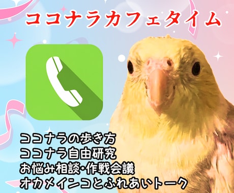 ココナラ出品者向け☆出品者相談カフェを開店します 実績1000件のオカメインコにココナラのお悩みをゆるっと相談 イメージ1