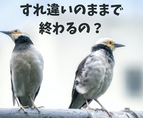 大切な人とすれ違って悩んでいるあなたを受け止めます 彼氏/彼女/夫婦/恋人とかみ合わず苦しい気持ちが楽になります イメージ1