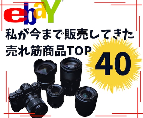 私が販売してきた売れ筋商品TOP40を教えます 過去に販売してきた売れ筋商品を教えます イメージ1
