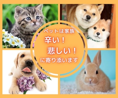 癒しと悩みお聴きします ☘あなたのお家の動物さんたちの可愛いところ！と困ったお悩み！ イメージ2