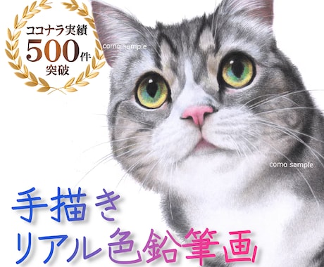 ハイクオリティなペット画を、色鉛筆で手描きします イメージ1