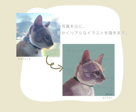 リアルであたたかいペットイラスト描きます 愛しいあの子を、リアルに。温もりの伝わるイラストを作成します イメージ2