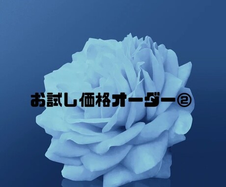 お試し価格のオーダー小説を受付けさせてもらいます 一度きりのお試し価格となっております