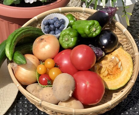 身体の症状に合ったお野菜教えます 野菜ソムリエプロが貴方の健康をちょっと手助け♪ イメージ1
