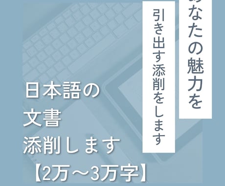 2万～3万文字の文書（論文/レポート等）添削します 東大生ライターが、あなたの癖を踏まえ、丁寧に添削いたします イメージ1