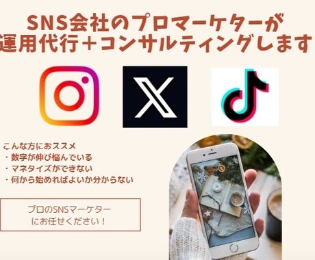 SNSのプロが何でもアドバイスします | 普段は大手企業の運用担当 | 運用代行可能 イメージ1
