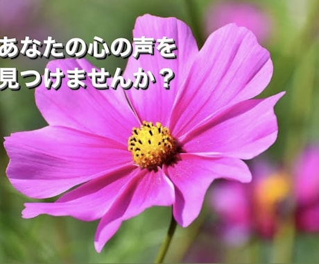 私、プラス思考で生きてます 自分自身を否定しないで。あなたの1番の味方はあなたです。 イメージ1