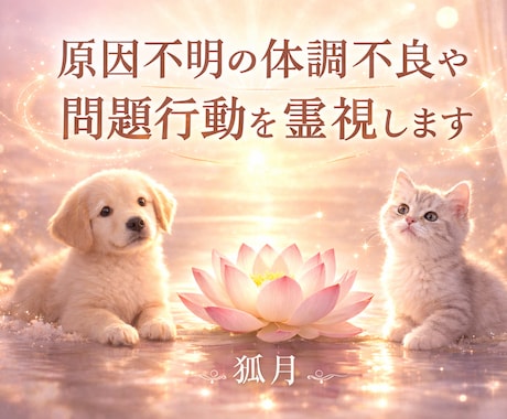 ペットの原因不明の病気や問題行動の原因を霊視します ペットの幸福と健康長寿の加持祈祷も承ります イメージ1