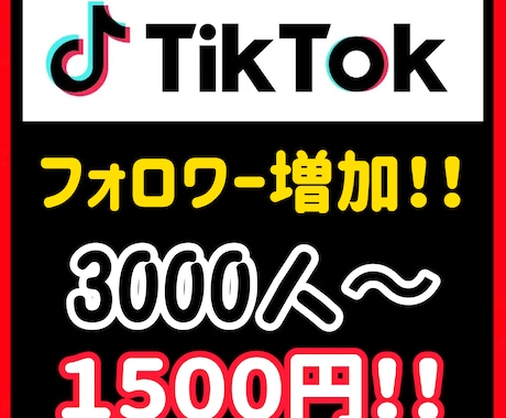 TikTokのフォロワーを3000人増やします 些細な疑問でもお答えしますのでご気軽に相談ください！ イメージ2