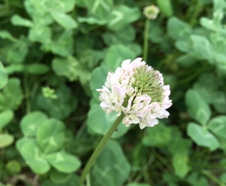 どんな悩みにも相談にのります カウンセリングで、心をスッキリさせましょう。 イメージ1