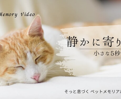 大切なペットの写真を、息づくメモリアル動画にします 静かに寄り添う、小さな5〜秒間。 イメージ1