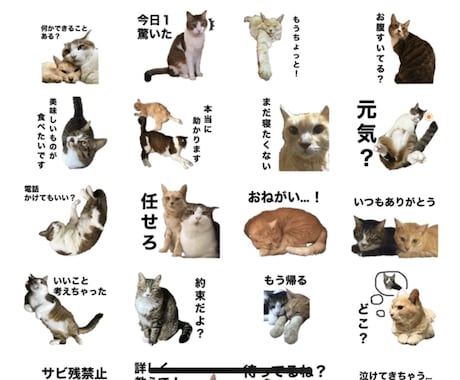 あなたの可愛いペットのLINEスタンプを作ります 画像共有頂いて、LINEスタンプを作成します！ イメージ2