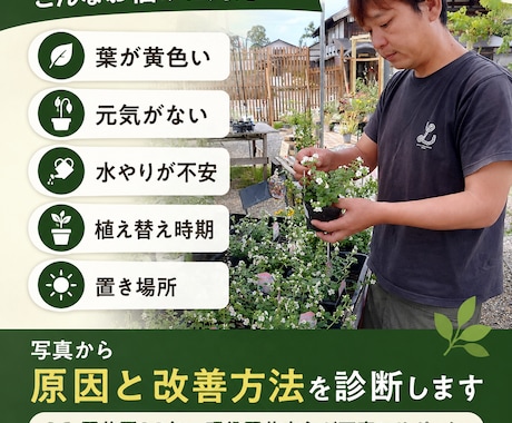 植物の写真から不調の原因と育て方を診断します 現役園芸店主が環境に合う改善方法を提案します イメージ2