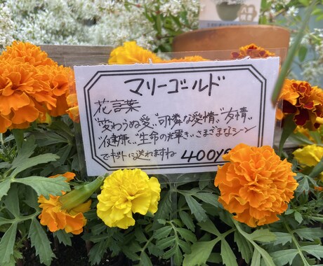 味のある手書きPOPを書きます 長く愛されるPOPが得意です。 イメージ2