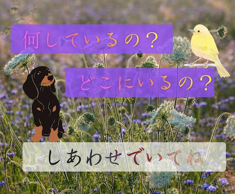 ずっと大切な家族　ペットロスの悲しみ、お聴きします 可愛いしぐさ、純粋な魂、忘れられない感触、愛おしいよね イメージ2