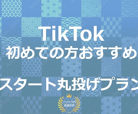 プロが【スタート丸投げ】TikTok運用します 1ヶ月間プロが収益化に向けた運用を行います イメージ1