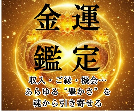 あなたの“金脈”を塞ぐ魂のブロックを解除します あなたの魂を“豊かさの波動”に再調律し、お金の流れを変えます イメージ1