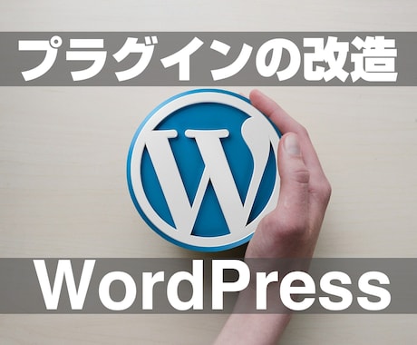WordPressのプラグインをカスタマイズします 既存のプラグインの機能などを改造変更します イメージ1