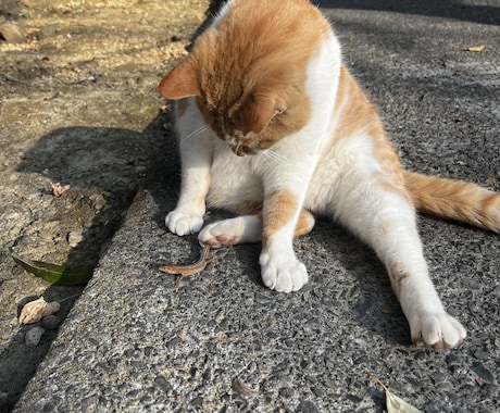 味方になります 誰にも話せない時ありますよね、僕に話してください。 イメージ1