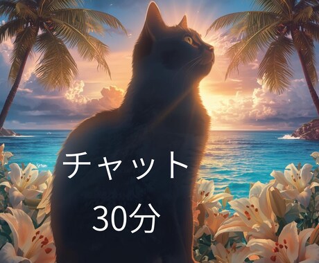 チャットでやりとり　タロットカードで占います 今知りたいことをタロットで占います イメージ1