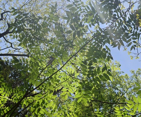 お悩み何でもお聞きします クスッと笑える毎日を貴方にとどける イメージ1