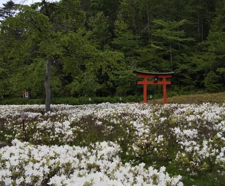 風景写真提供します 出掛けた先で撮影した写真を提供します。 イメージ2