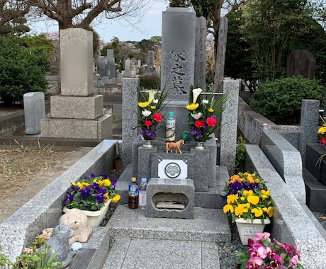 お墓参り前の除草剤の散布いたします そろそろお墓に行こうかな？その前に除草剤散布＆撮影いたします イメージ2