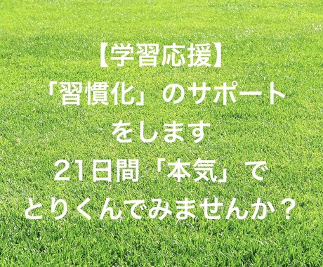 学習応援！出版翻訳者が「習慣化をサポート」します 「21日間」本気でとりくむ意欲のある方向けのサービスです イメージ1