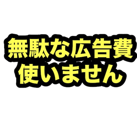 CPAを下げます 無駄な広告かけてませんか？すぐに無駄を省きます。 イメージ1