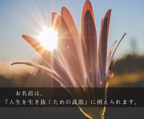 プロの鑑定士が破格で大切なお名前しっかり鑑定します ☆字源漢字、五行を用いる本格的手法☆熊崎式五行姓名判断で鑑定 イメージ2