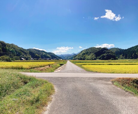 あなたの気持ちに寄り添うコーチングを提供します どういう方向に進もうか迷っていませんか？ イメージ1