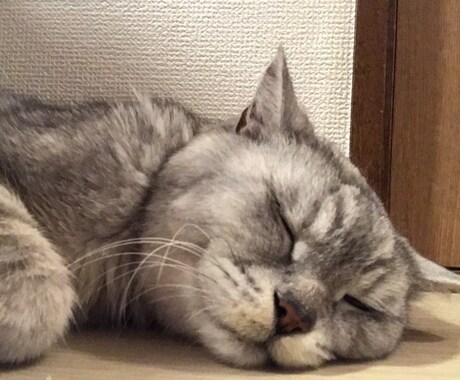愚痴やご相談をお聞かせください。お待ちしております 気軽にお話できる人をめざしてます、気持ちが軽くなれば幸いです イメージ2