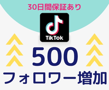 TikTokのフォロワー500人増やします 30日間の保証あり⭐️フォロワーが増えなくてお悩みの方必見