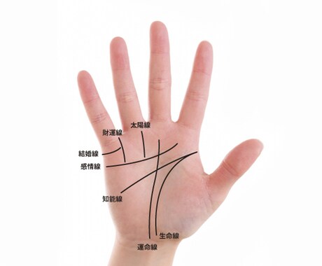 気軽に占いがしたい方々を手相で占います 気軽に自分の未来や運気などを手相で占って見ましょう！ イメージ1