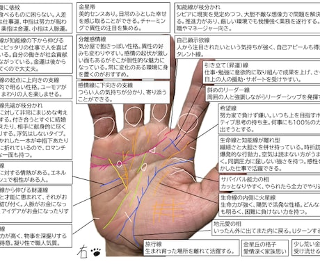 4,000円で隅々まで手相をみます ボリュームたっぷりの画像解説付きです。 イメージ2