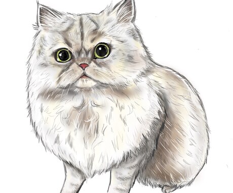 ペット・動物のイラスト作成します 毛並みや模様の特徴を捉えてペットをイラストにします。 イメージ1