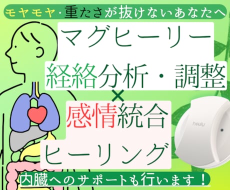 内臓に溜まった感情を丁寧に統合ヒーリングします イメージ1