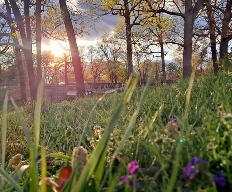 初心者から英語の論文添削まで丁寧に教えます 英語を学びたい気持ち諦めないで！アメリカから英語を届けます！ イメージ1