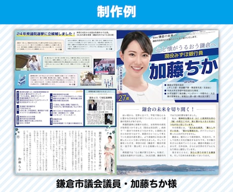 政治活動用のチラシ作成します 元新聞記者・編集者が原稿の作成編集にも対応 イメージ2