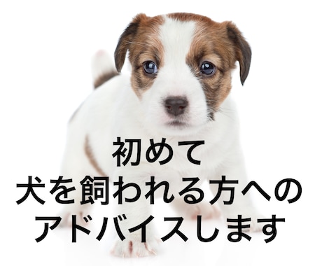 初めて犬を飼われる方に電話でアドバイスします 充実したドッグライフを過ごすためにも正しい情報を必要です。 イメージ1